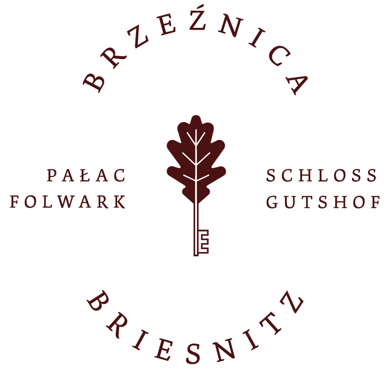 BRZEZNICA logotyp bordowy 1 1